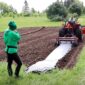 mulch layer - best farm equipment